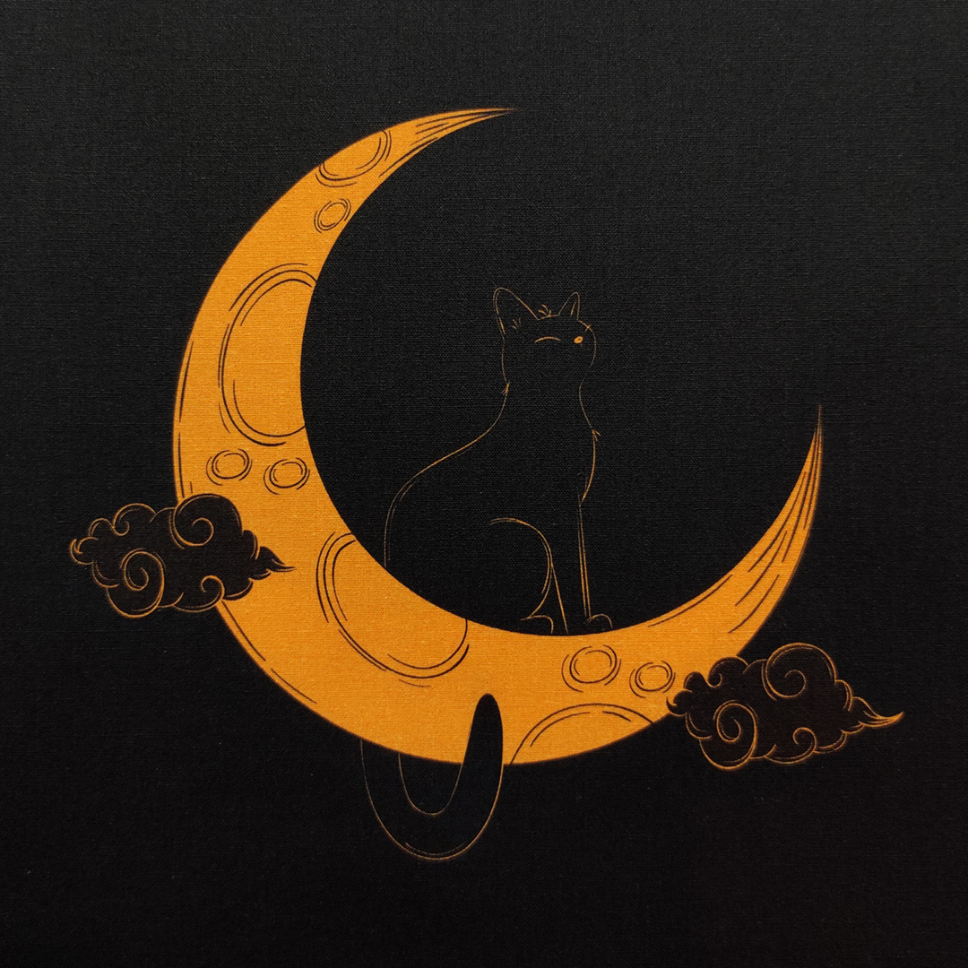 Cat on the moon