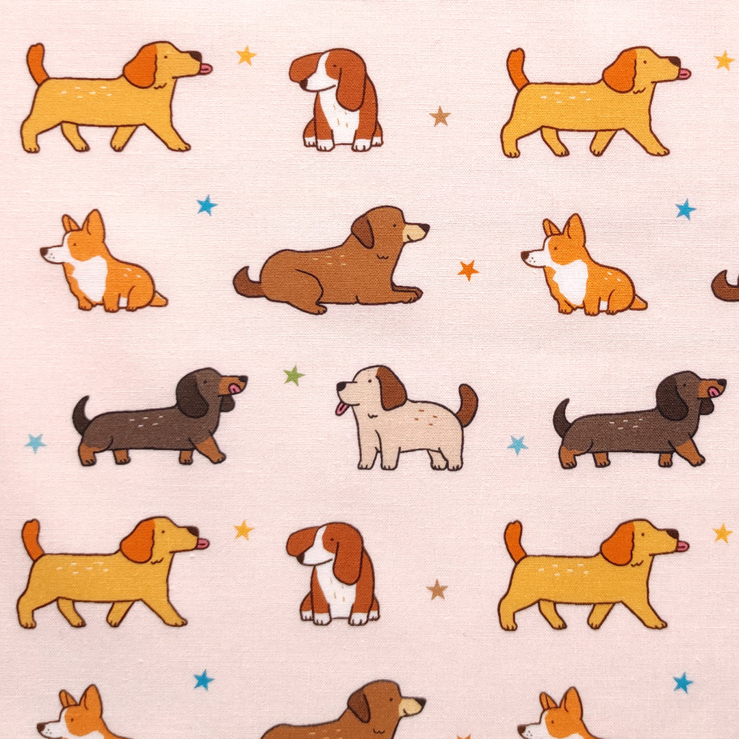 Dogs in a row