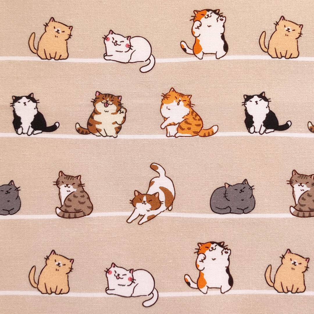 Cats in a row